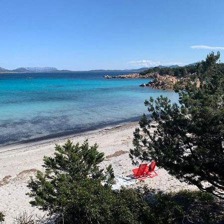 Appartamento Porto Rotondo Rudargia ภายนอก รูปภาพ