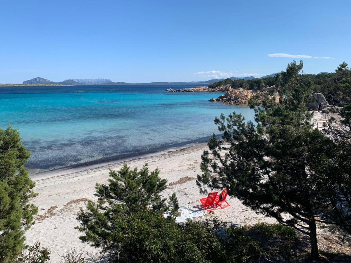 Appartamento Porto Rotondo Rudargia ภายนอก รูปภาพ